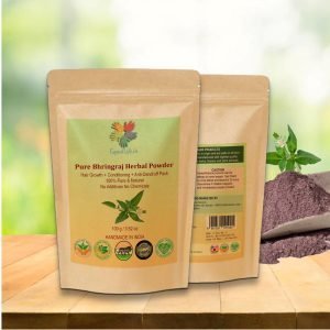 Equal Life-100% Pure Premium Herbal Bhringraj Powder-100 Grams-EL3110102