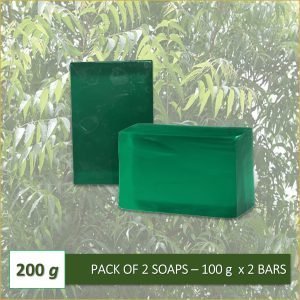 Neem Handmade Herbal Soap-Set of 2 (100 Grams x 2 Soaps)-EL1111104