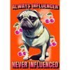 Dog influence wh d