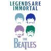 Beatles 6 wh d