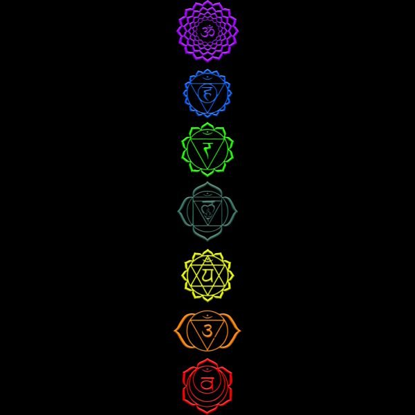 Chakra Bl D