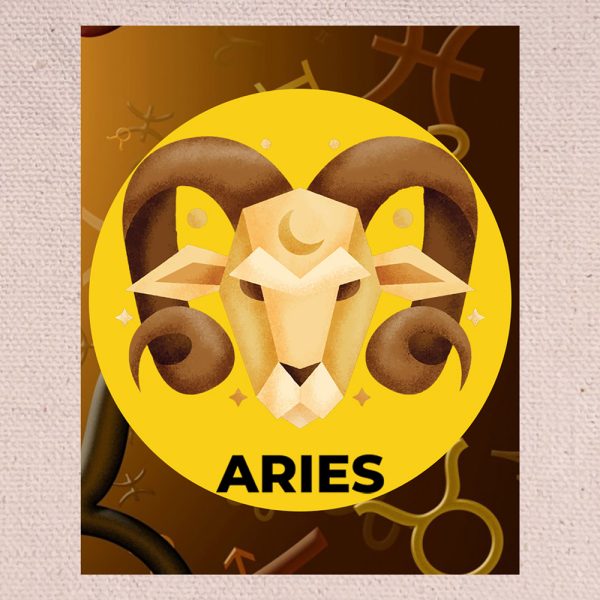 Msb Aries D