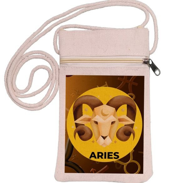 Msb Aries M