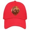 Cap 29 Lion1 M Rd